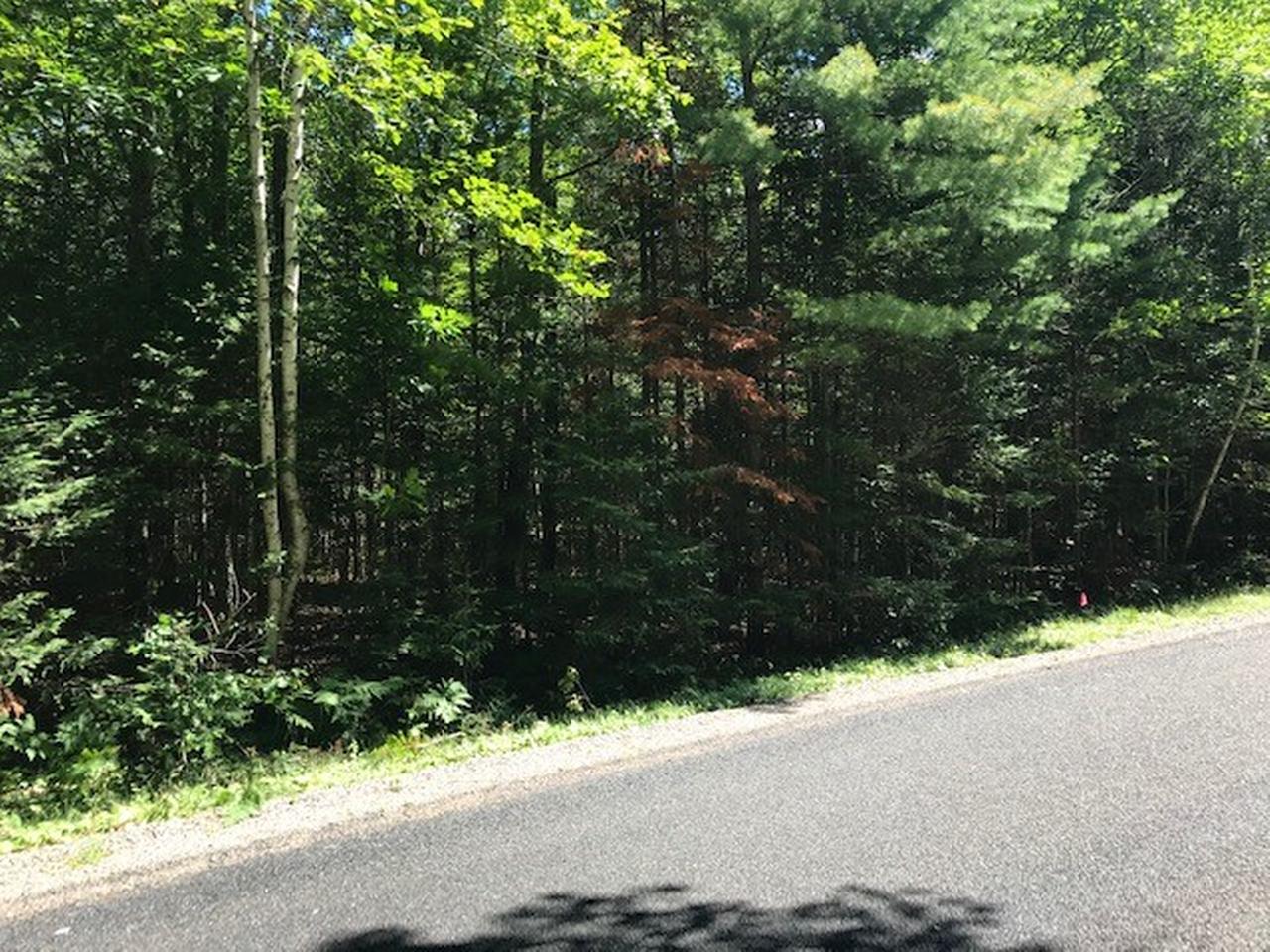 On Boygan Lake Road, Unit LOT 52 Land O'Lakes, WI 54540 - Photo 2 of 6 Gallery Image 2