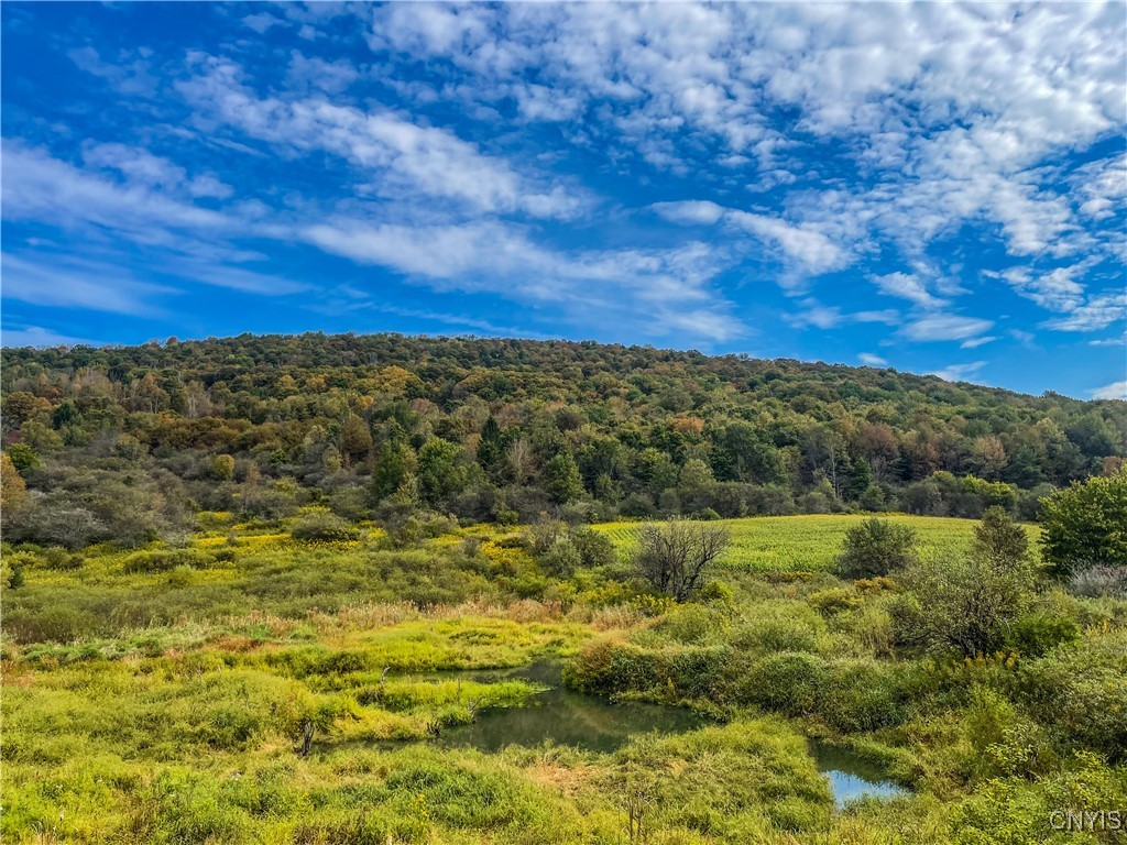 0 Lincklaen Road Truxton, NY 13158 - Photo 1 of 36 Gallery Image 1