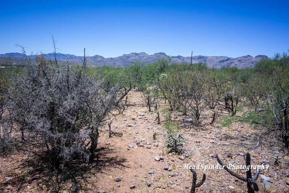 1804 Birmania Corte, Unit 10 Rio Rico, AZ 85648 - Photo 1 of 4