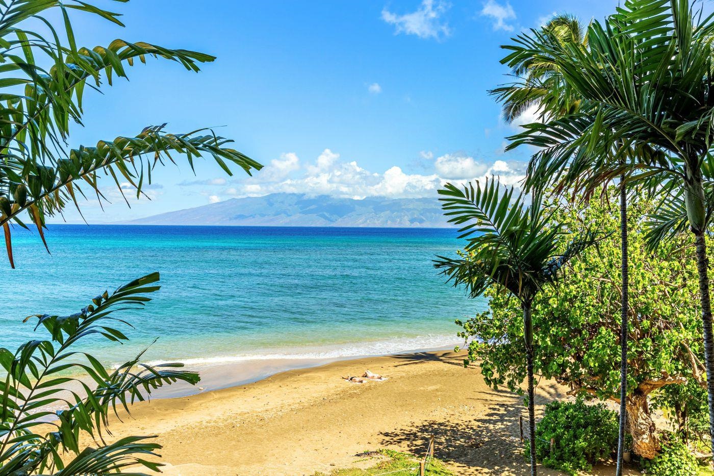4299 Lower Honoapiilani Road, Unit 324 Lahaina, HI 96761 - Photo 39 of 50 Gallery Image 39