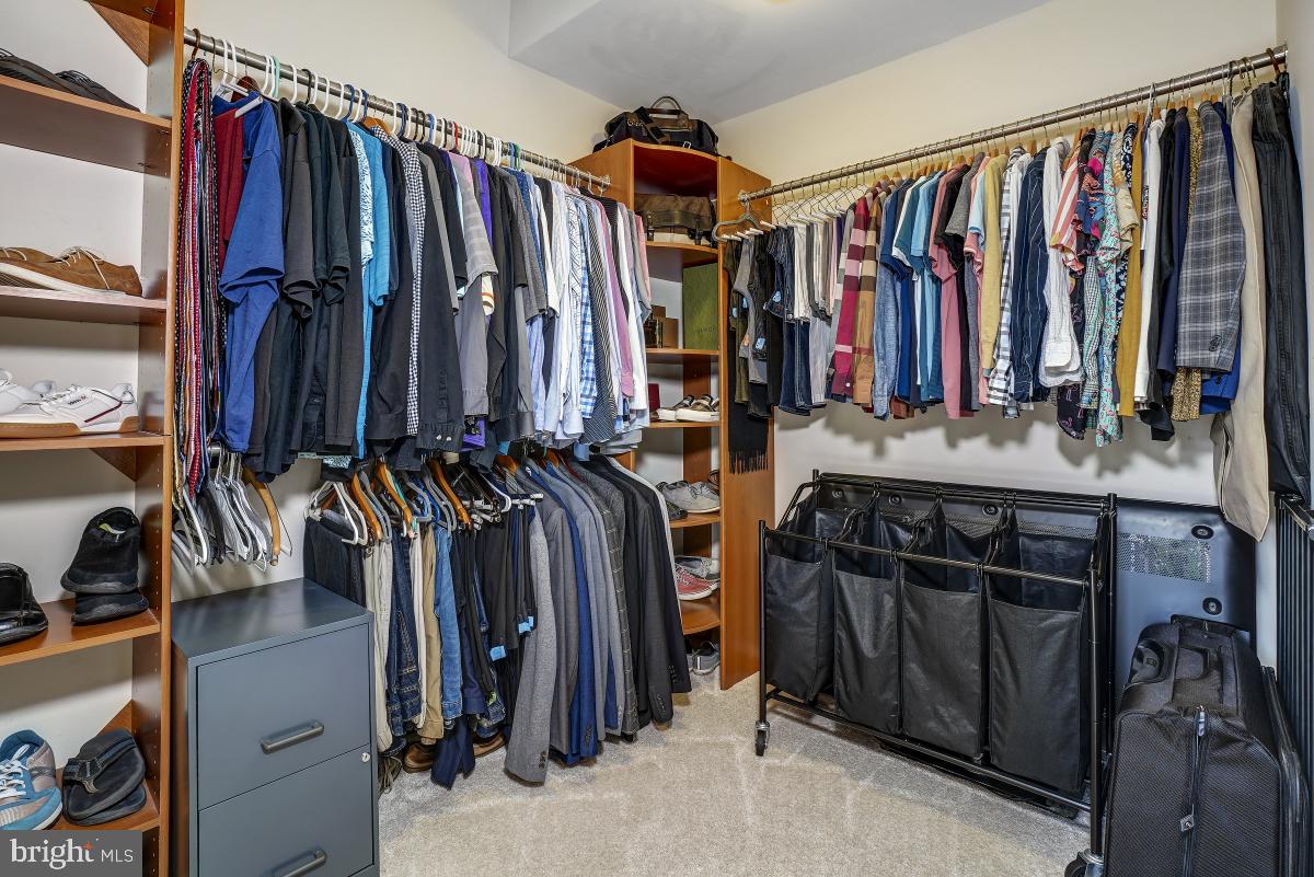9132 Tulip Grove Road Gaithersburg, MD 20879 - Photo 38 of 57 Primary Walk in Closet