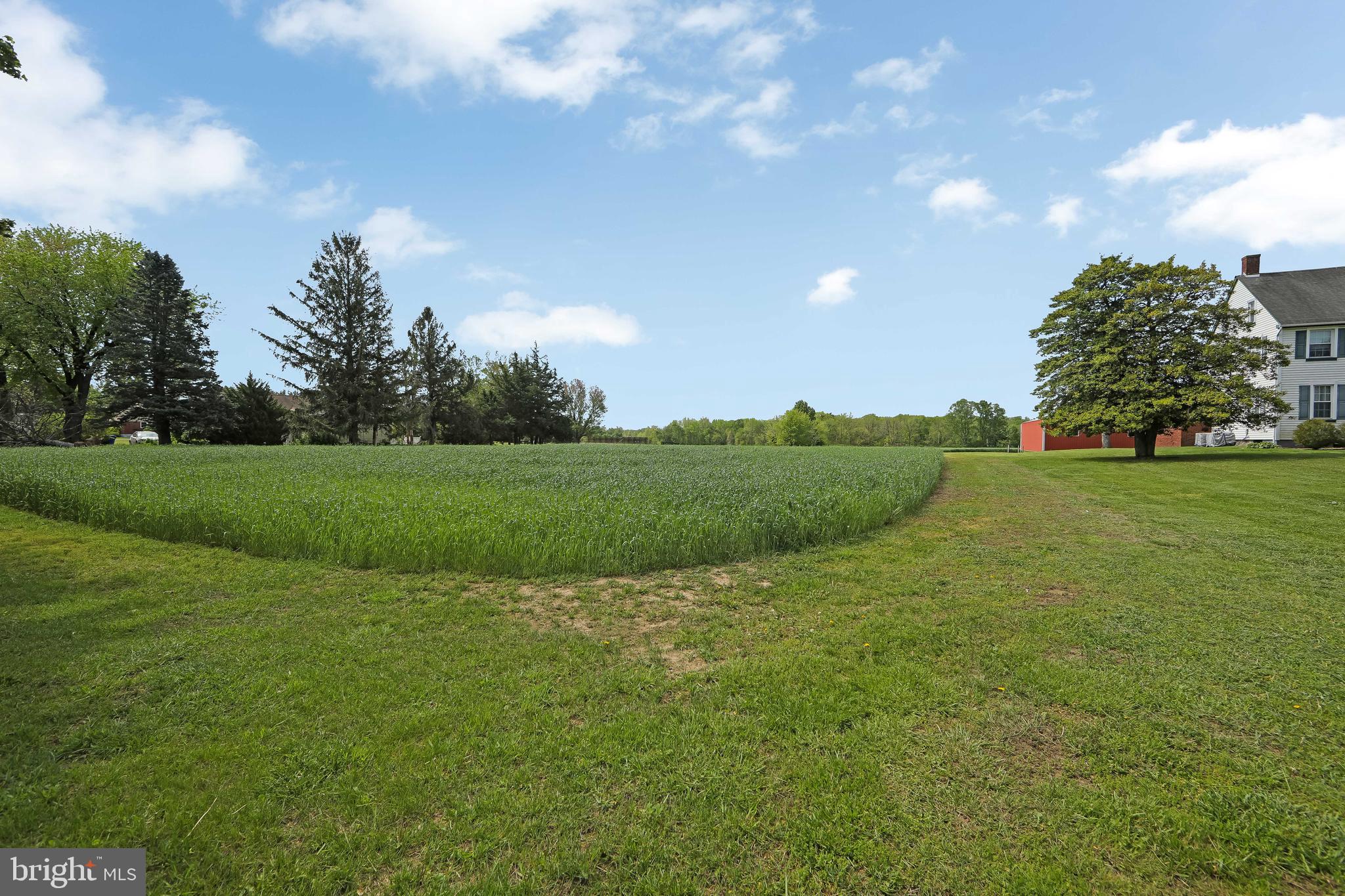 111 Newbolds Corner Road Southampton, NJ 08088 - Photo 28 of 96 View of Crops