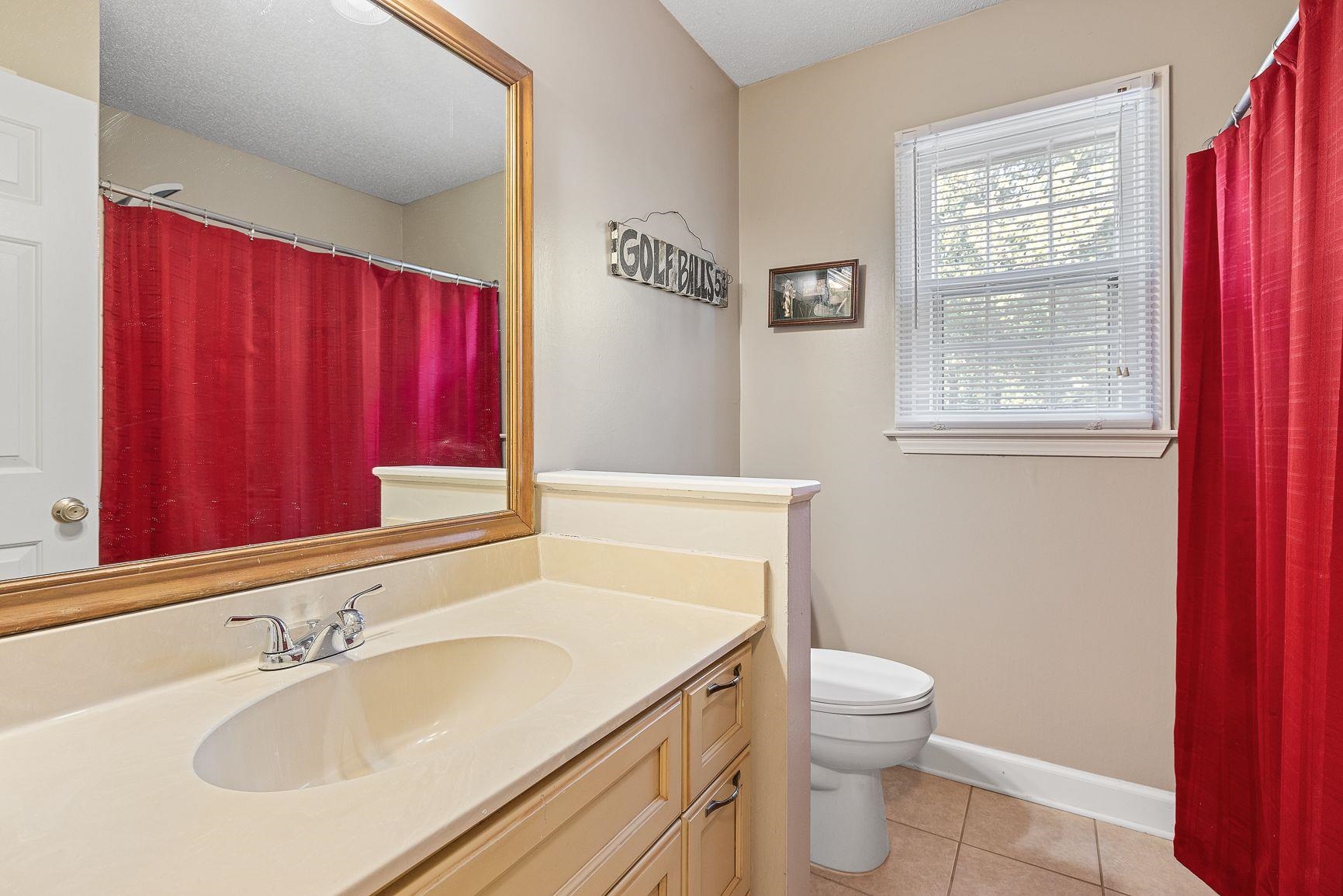 429 Dove Valley Road Collierville, TN 38017 - Photo 21 of 24 a bathroom with a sink a toilet and a mirror