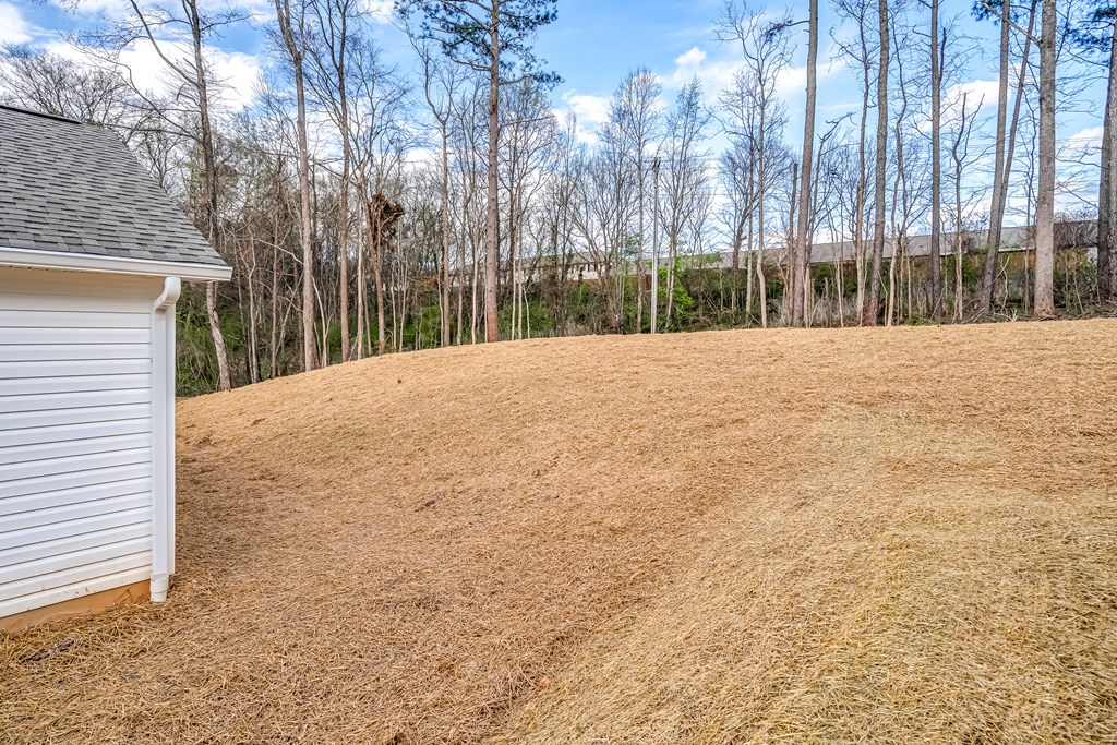 1628 Waring Road Dalton, GA 30721 - Photo 39 of 41 Gallery Image 39