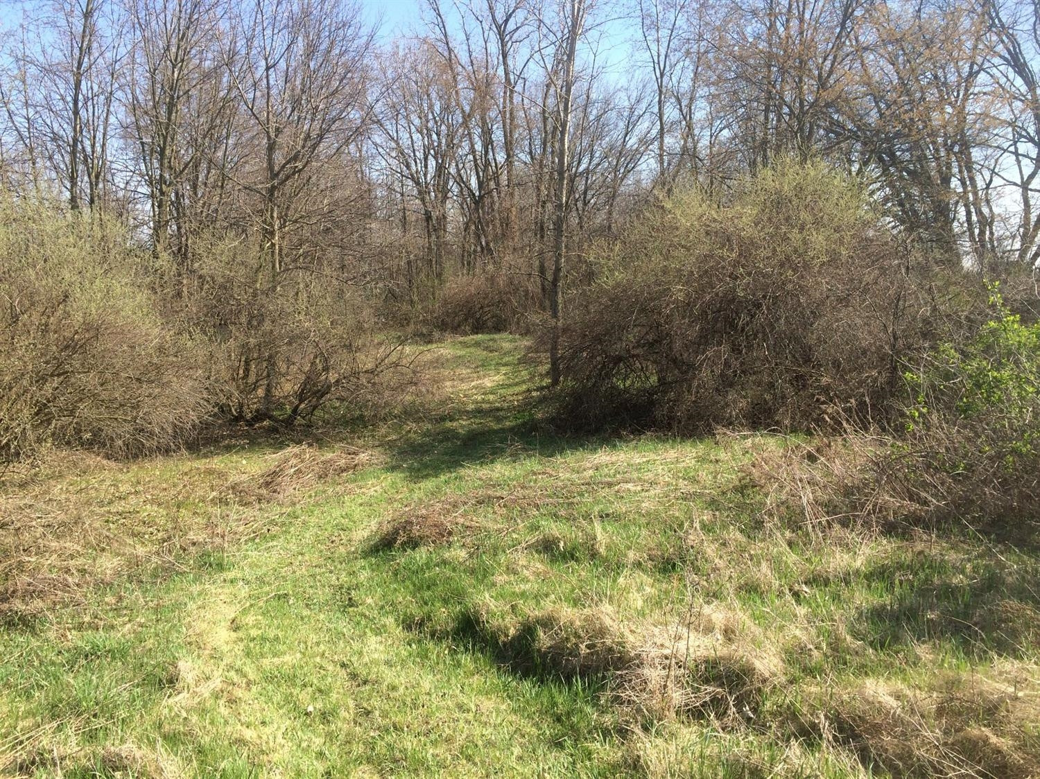 11981 Trinkle Road Dexter, MI 48130 - Photo 8 of 10 Photo 8