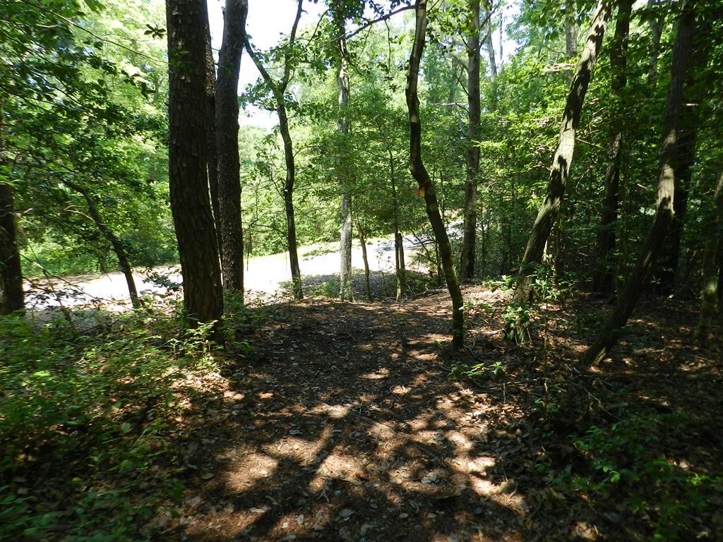 Lot B6 Saltworks Road, Unit B6 Exmore, VA 23350 - Photo 2 of 28