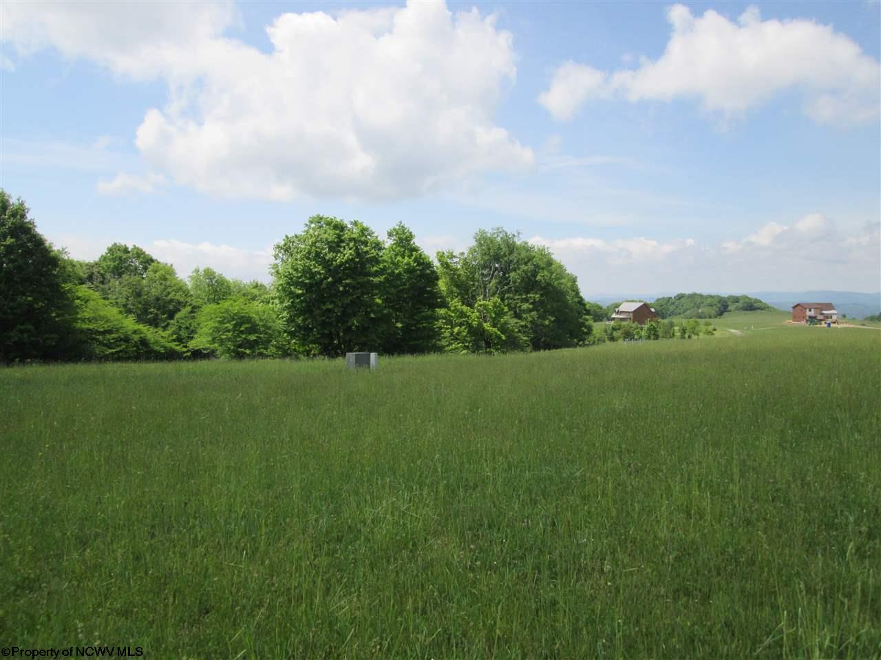 29 Pointy Knob Road Davis, WV 26260 - Photo 6 of 17 Gallery Image 6