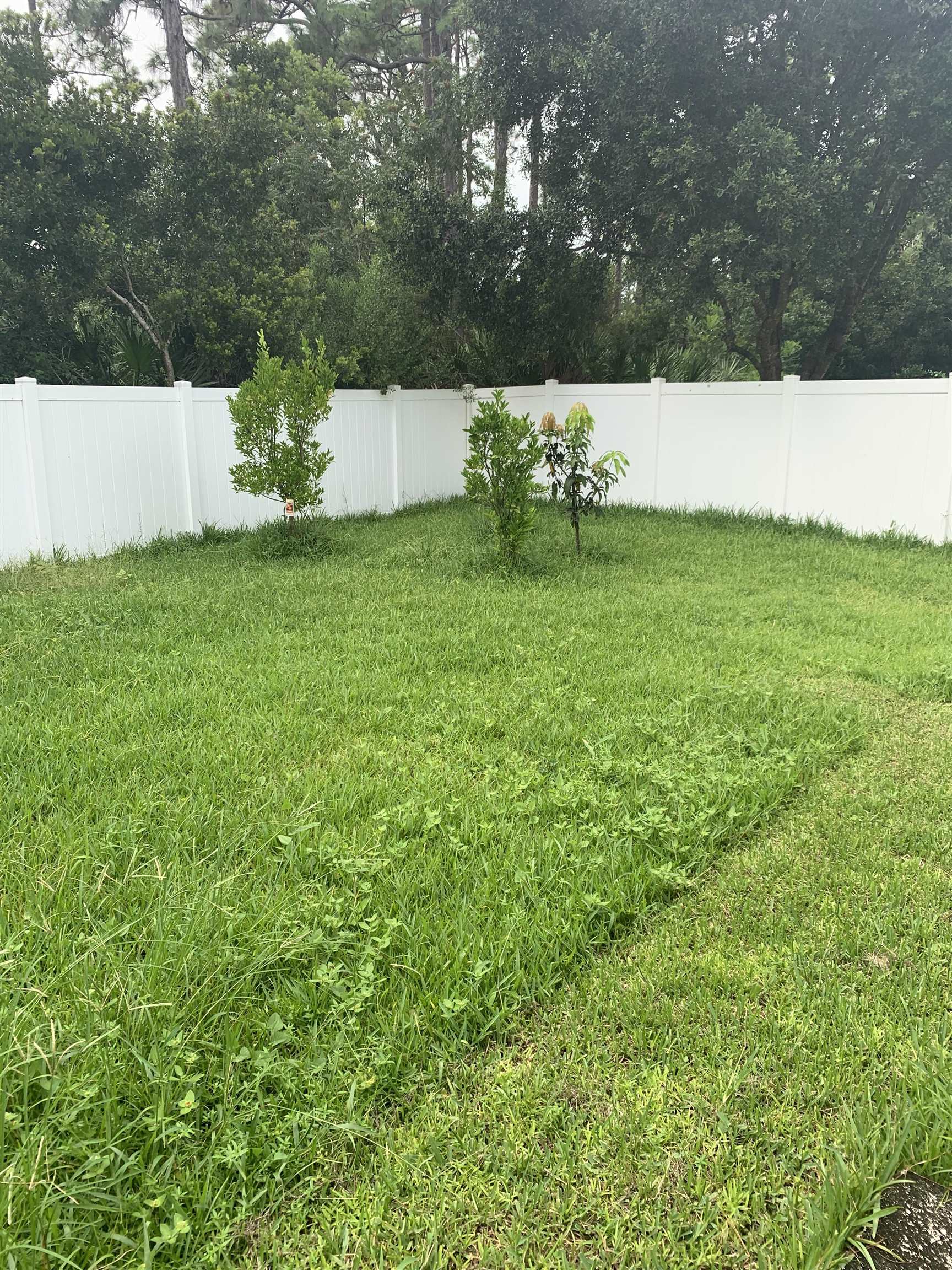 619 South Tree Garden Drive St. Augustine, FL 32086 - Photo 20 of 21 a view of a yard
