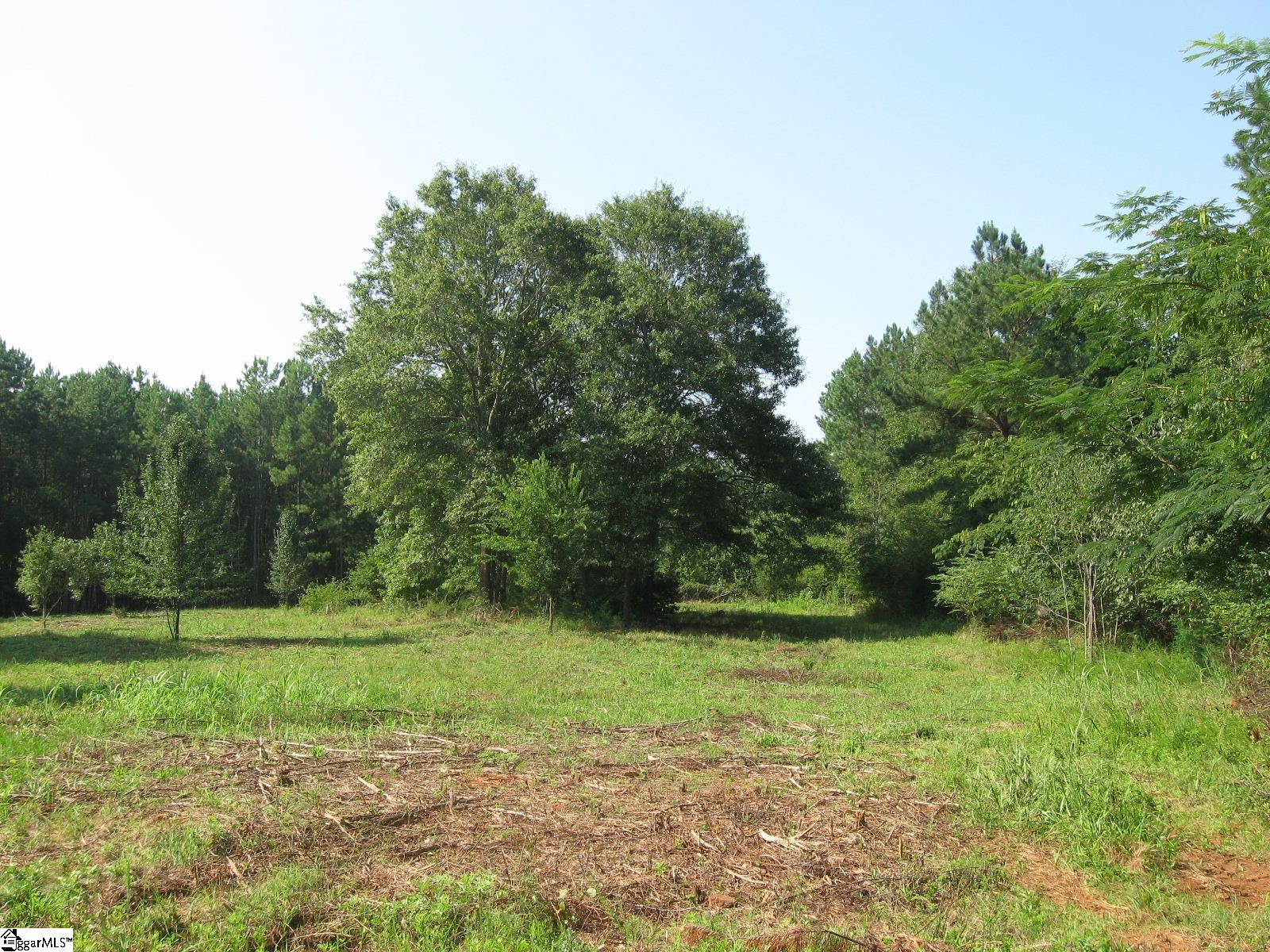 1 Barksdale Road Fountain Inn, SC 29644 - Photo 2 of 11