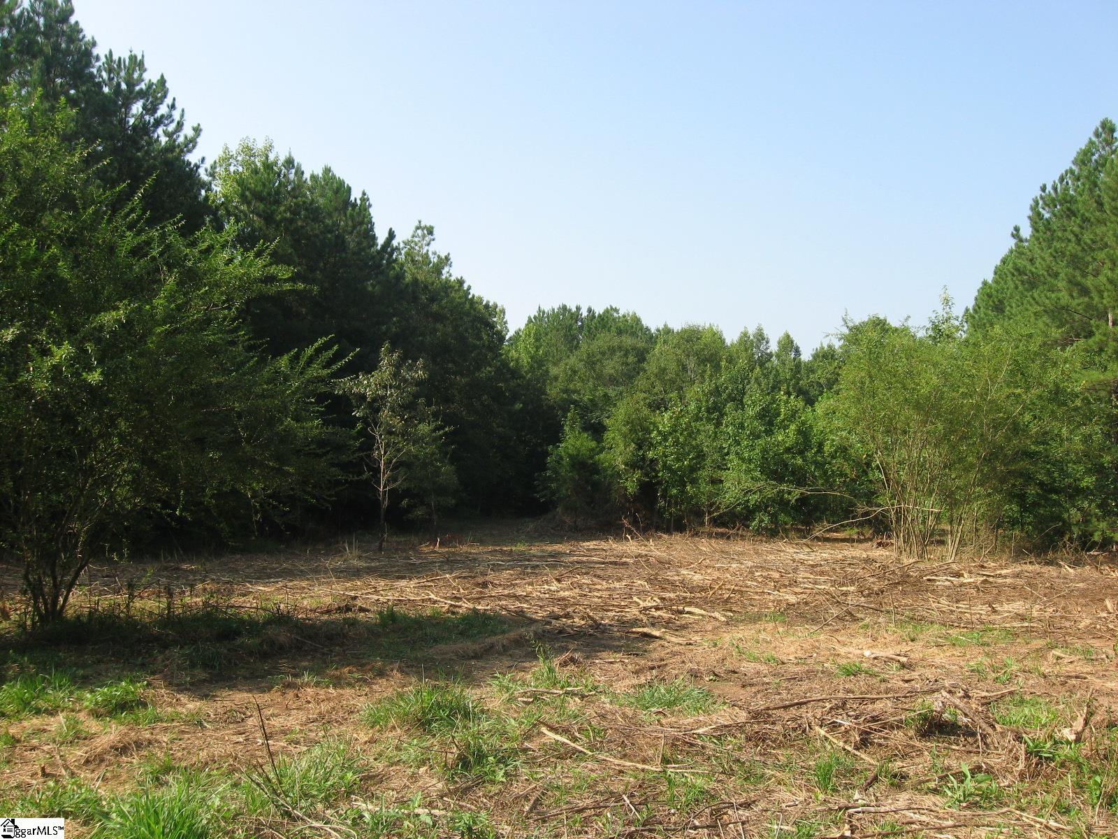 1 Barksdale Road Fountain Inn, SC 29644 - Photo 3 of 11