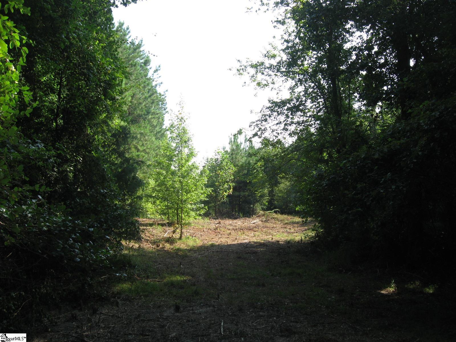 1 Barksdale Road Fountain Inn, SC 29644 - Photo 4 of 11