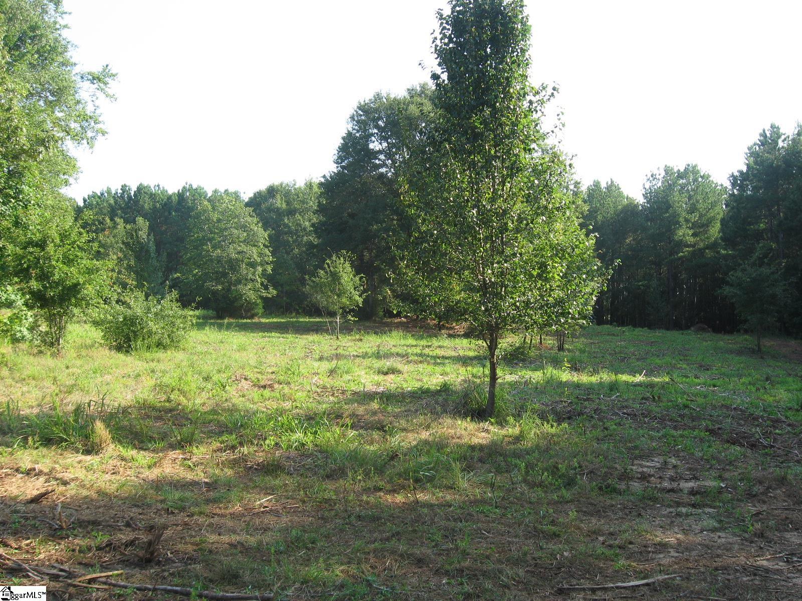 1 Barksdale Road Fountain Inn, SC 29644 - Photo 5 of 11