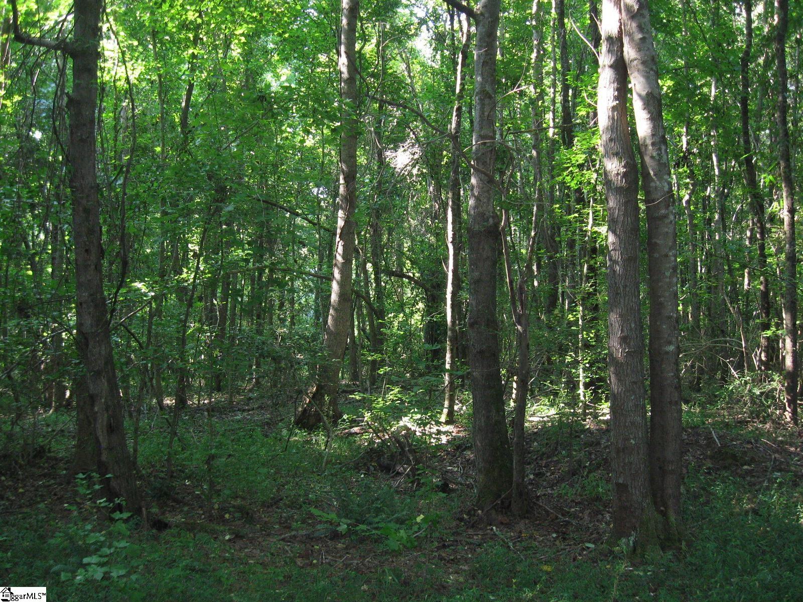 1 Barksdale Road Fountain Inn, SC 29644 - Photo 7 of 11