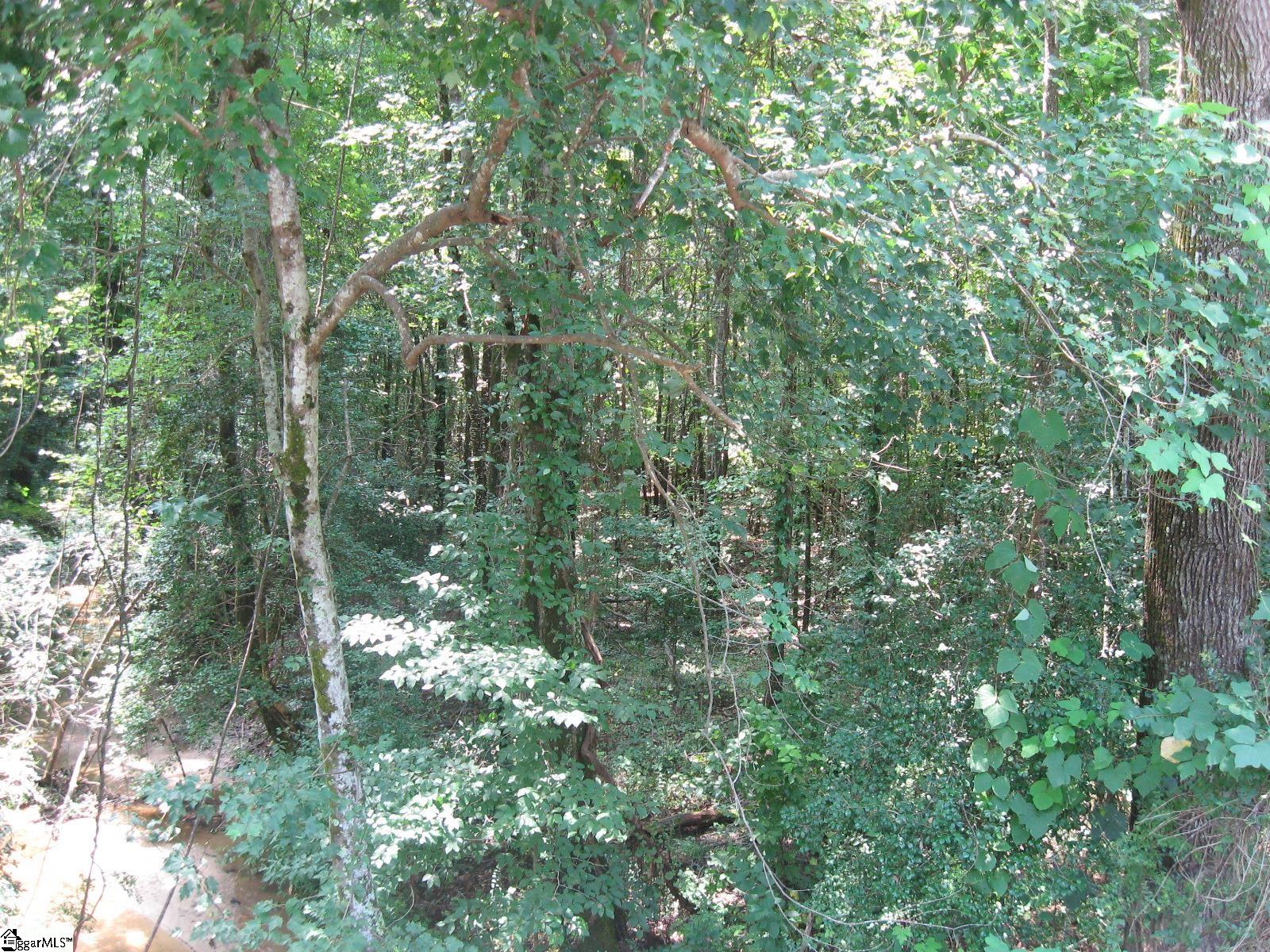 1 Barksdale Road Fountain Inn, SC 29644 - Photo 9 of 11