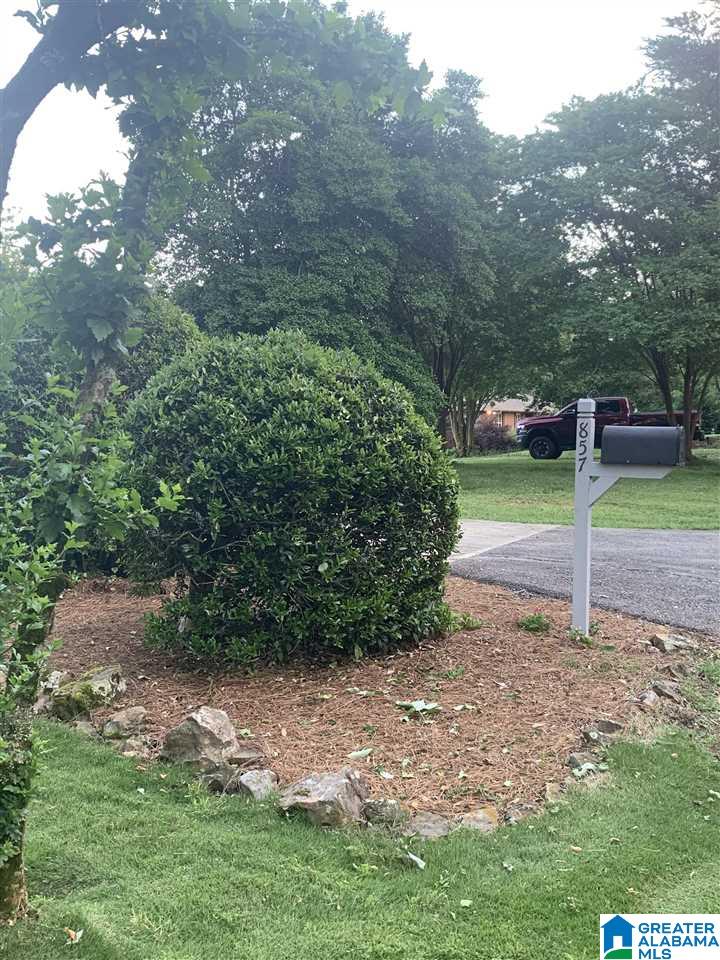 857 Shades Crest Road Birmingham, AL 35226 - Photo 39 of 42