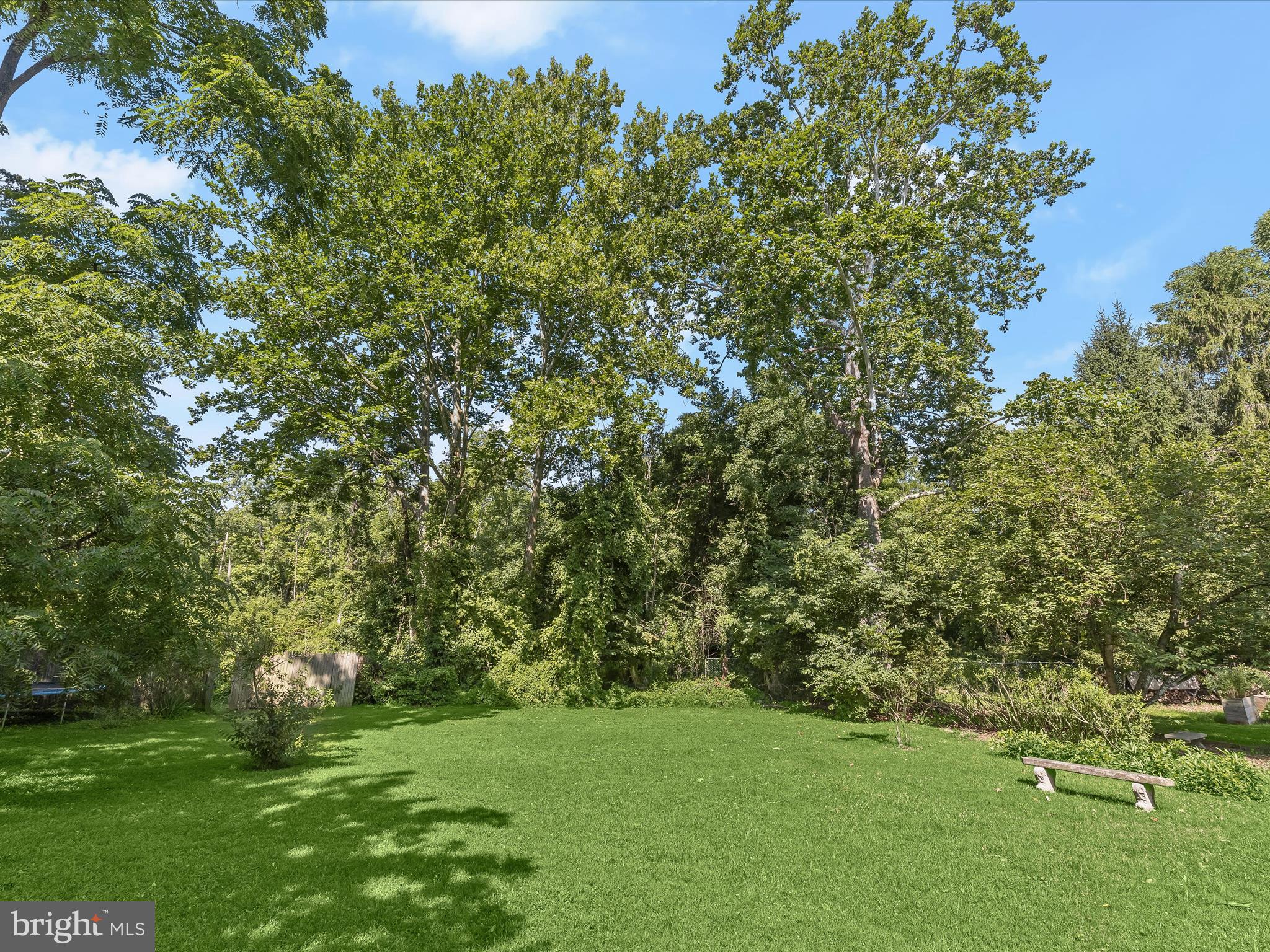 8008 Rider Avenue Towson, MD 21204 - Photo 37 of 43 Rear Lawn