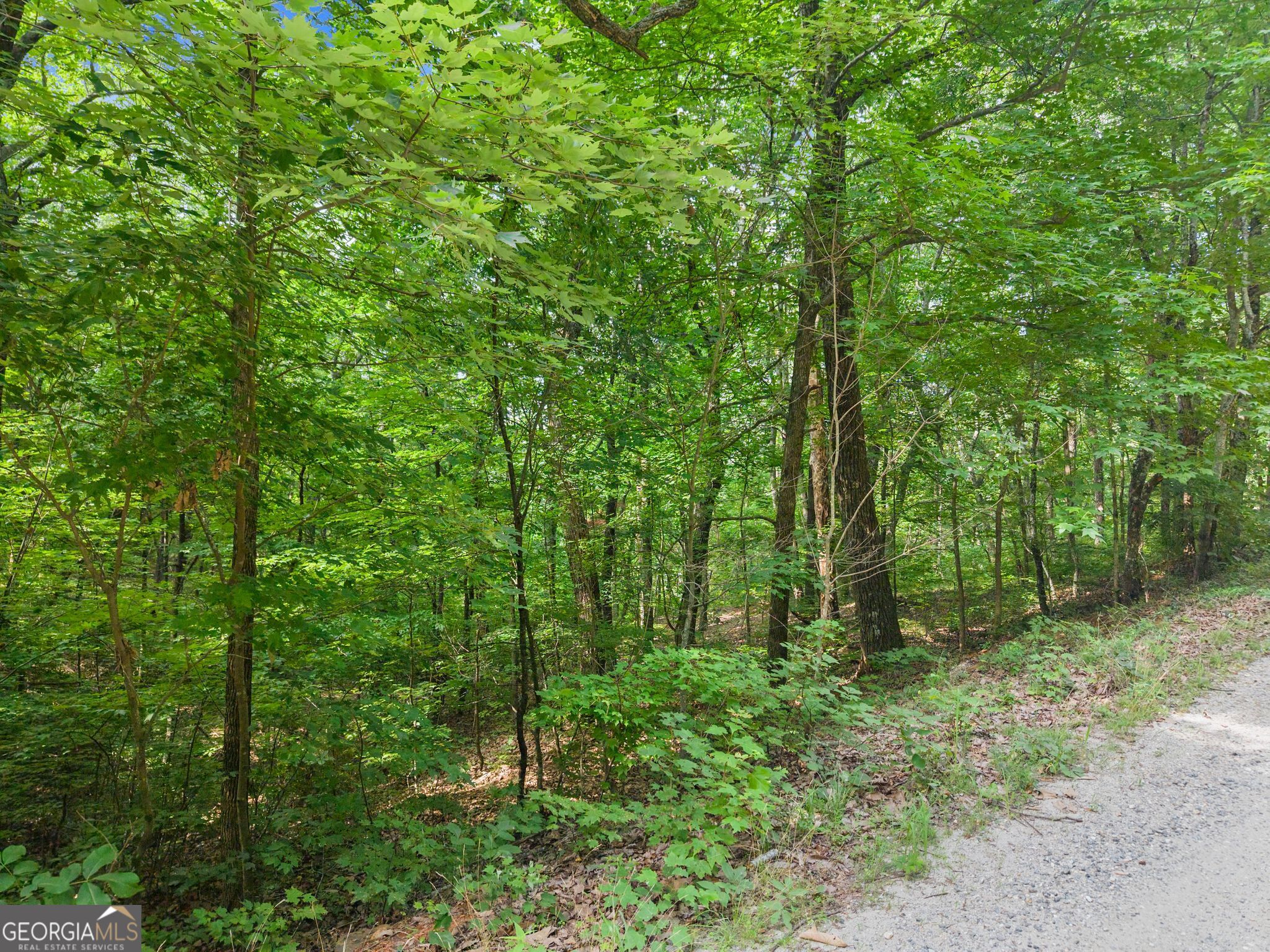 0 Wauka Ridge Road Clermont, GA 30527 - Photo 16 of 32