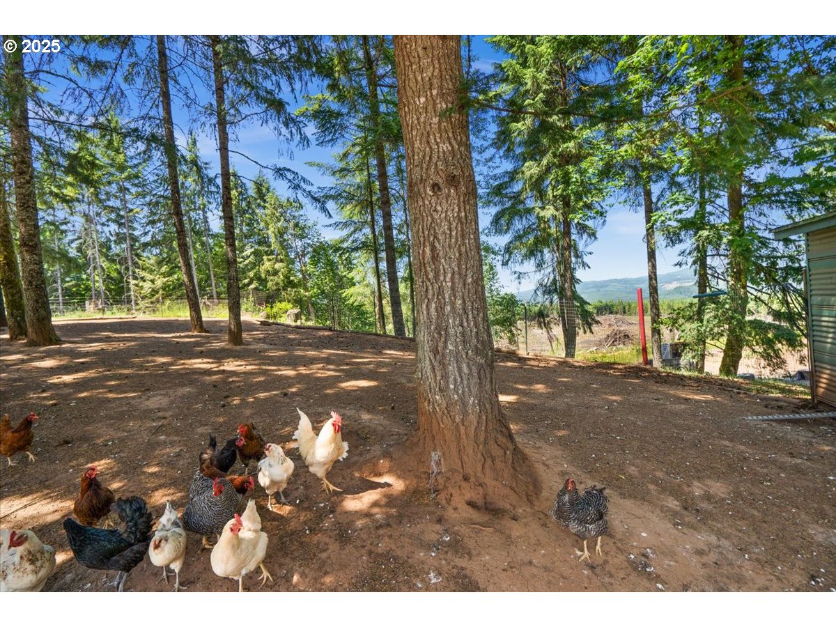 50769 Northwest Gheen Road Manning, OR 97125 - Photo 43 of 44 Gallery Image 43