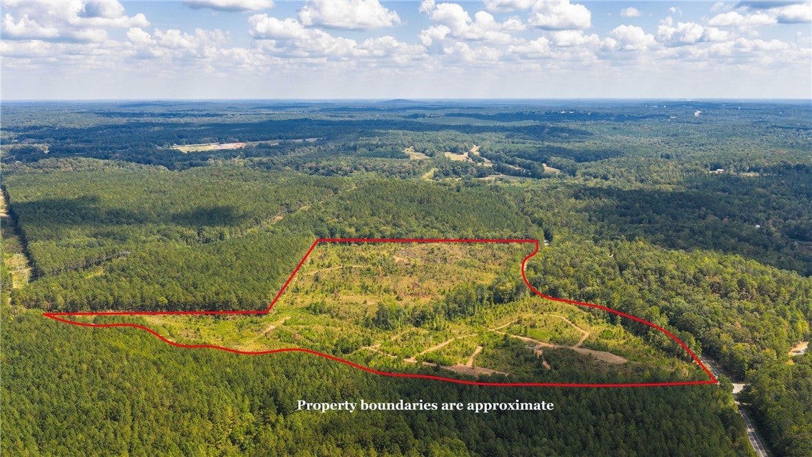 51-acres Madwind Road Jacksons Gap, AL 36861 - Photo 12 of 14 Gallery Image 12