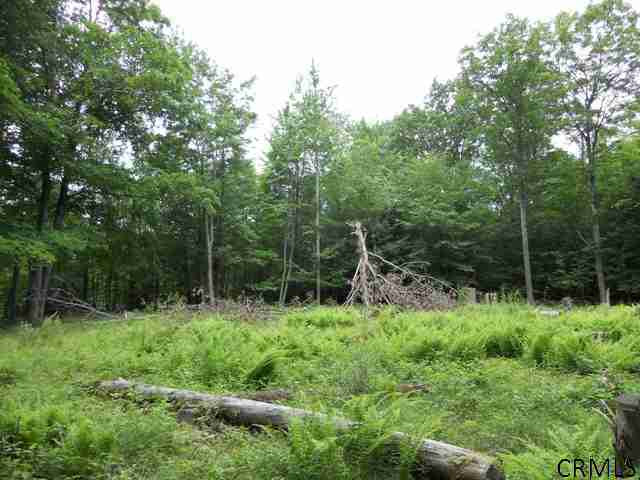 216 Foster Road Grafton, NY 12052 - Photo 1 of 1 Photo 1