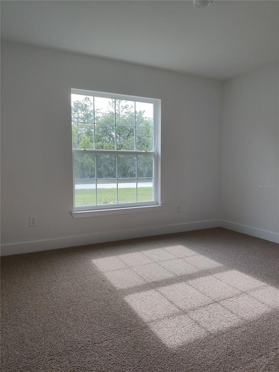 14606 Mocking Wren Road Weeki Wachee, FL 34614 - Photo 11 of 20