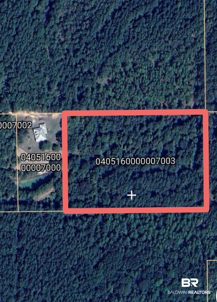 0 Horace Odom Road Millry, AL 36558 - Photo 14 of 17 Gallery Image 14