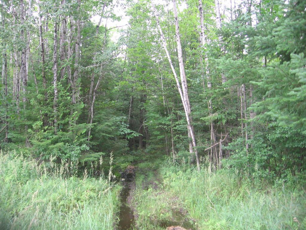 2364 Long Rapids Road Alpena, MI 49707 - Photo 16 of 18 Gallery Image 16
