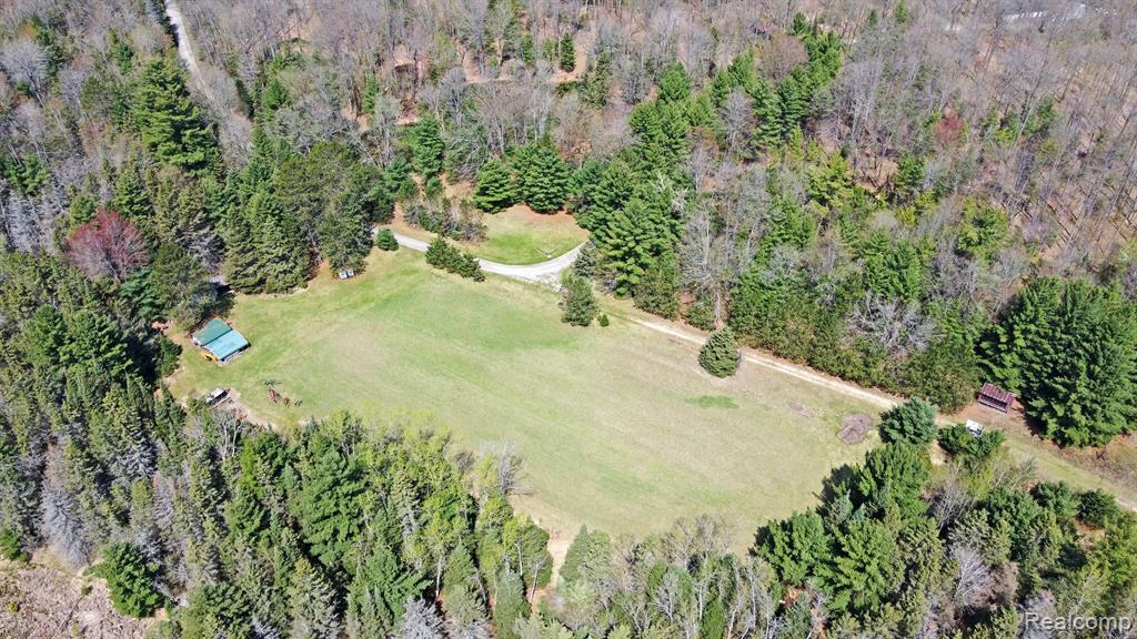3510 Mc Collum Lake Road Curran, MI 48728 - Photo 53 of 99