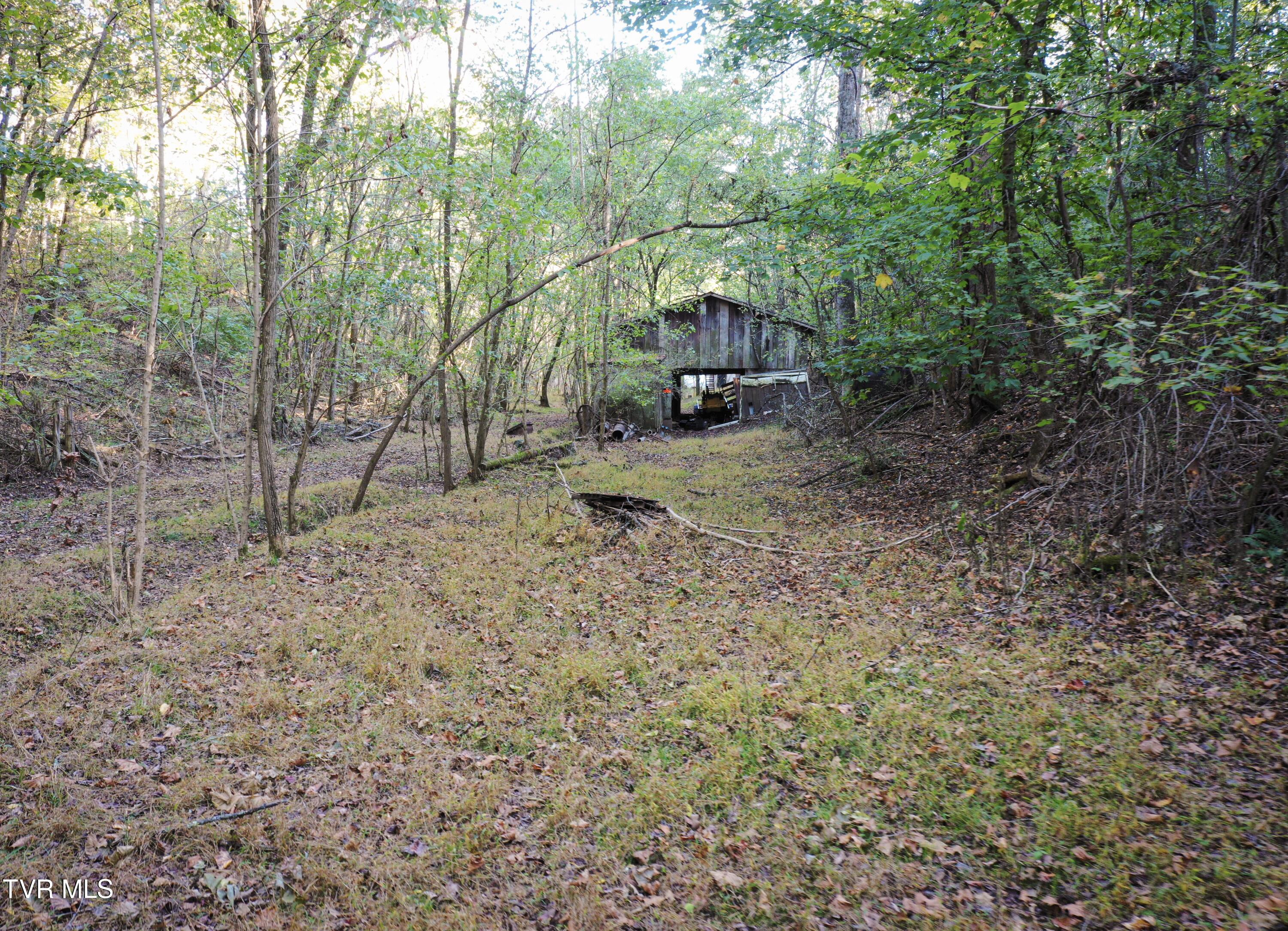 376 Old Fincastle Road Lebanon, VA 24266 - Photo 36 of 37 IMG_6821