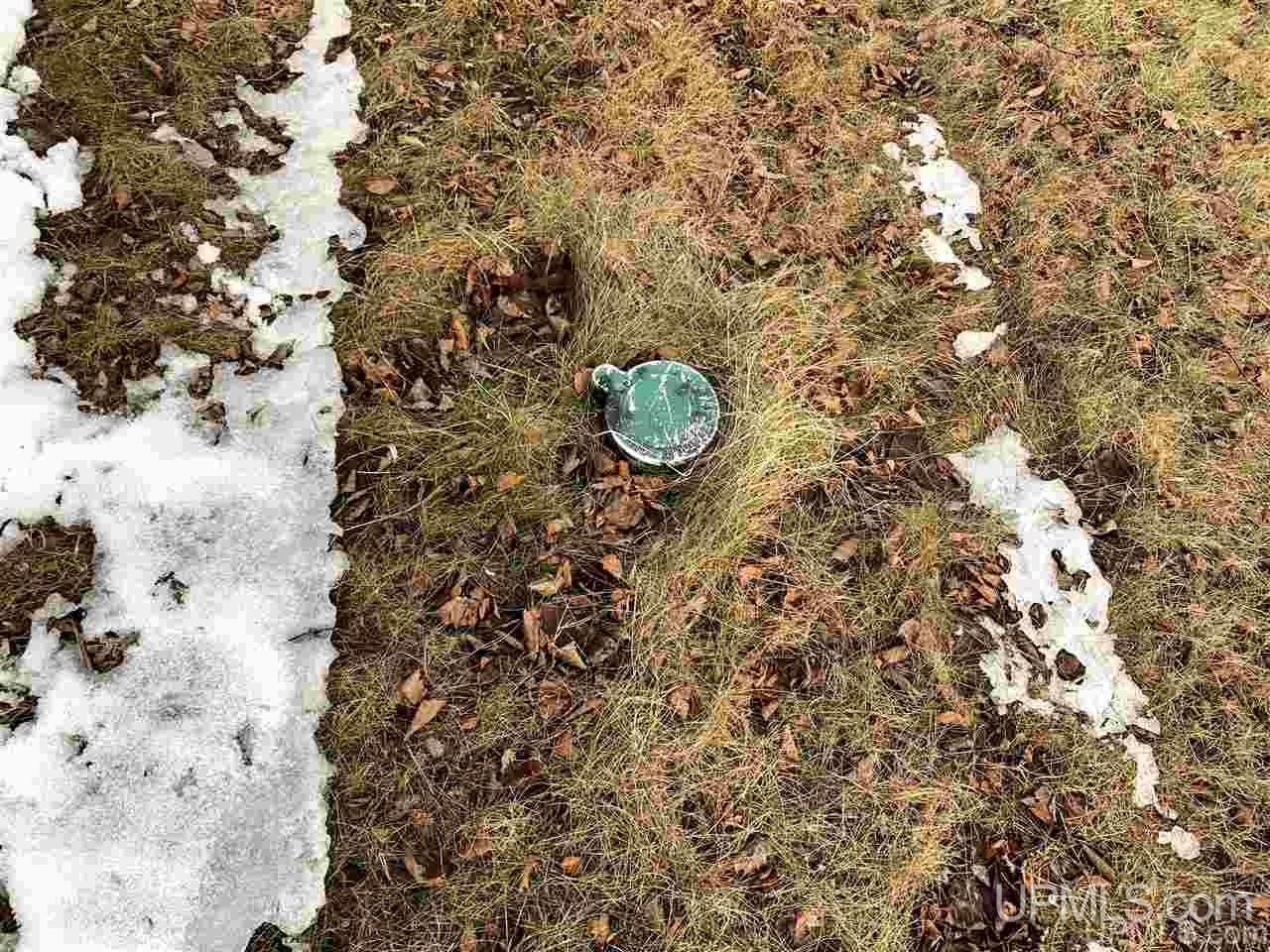 8790 Sa Road Cornell, MI 49818 - Photo 36 of 38