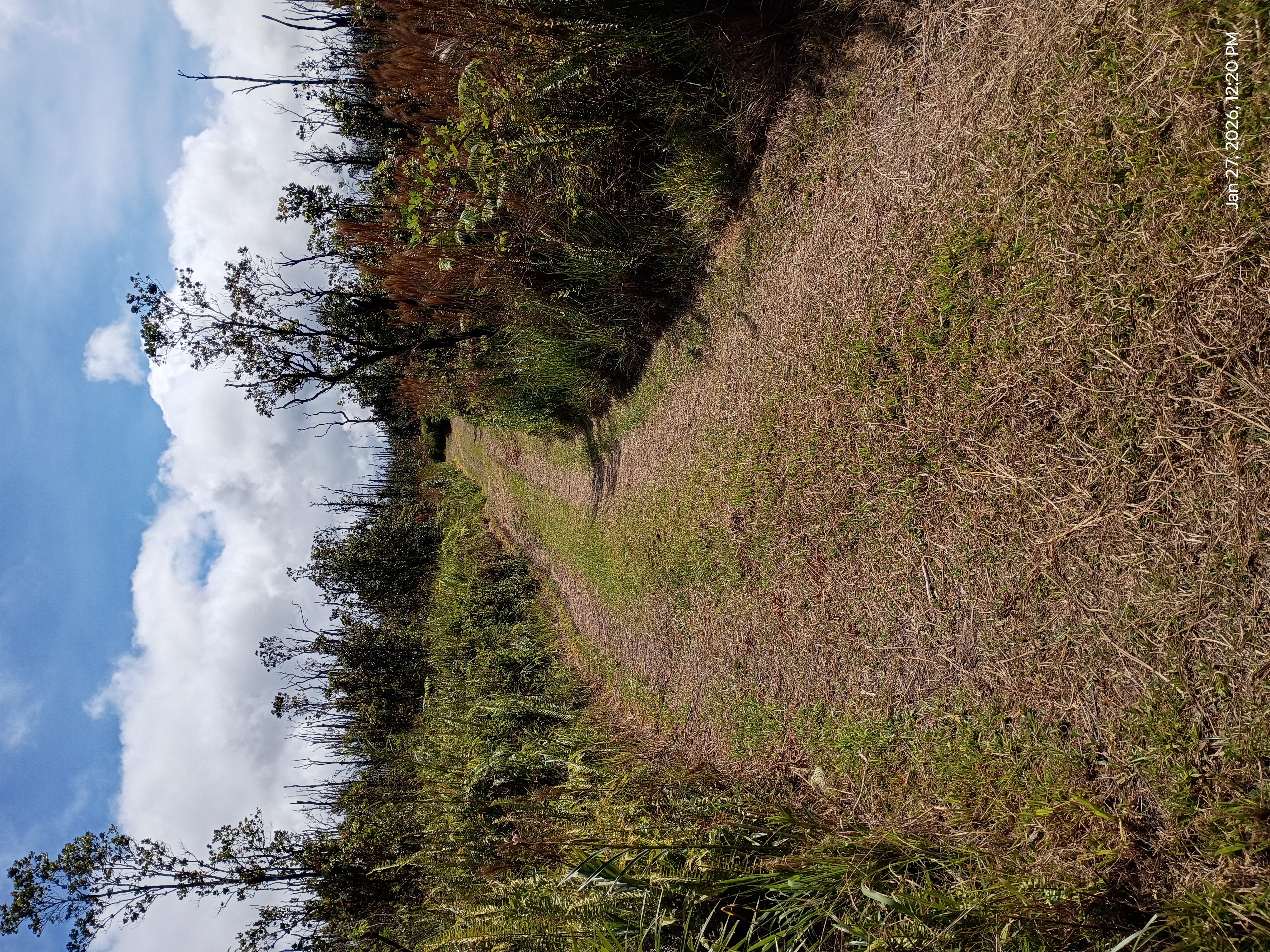11-2311 Kaleponi Road Mountain View, HI 96771 - Photo 17 of 28 a view of a lake with houses