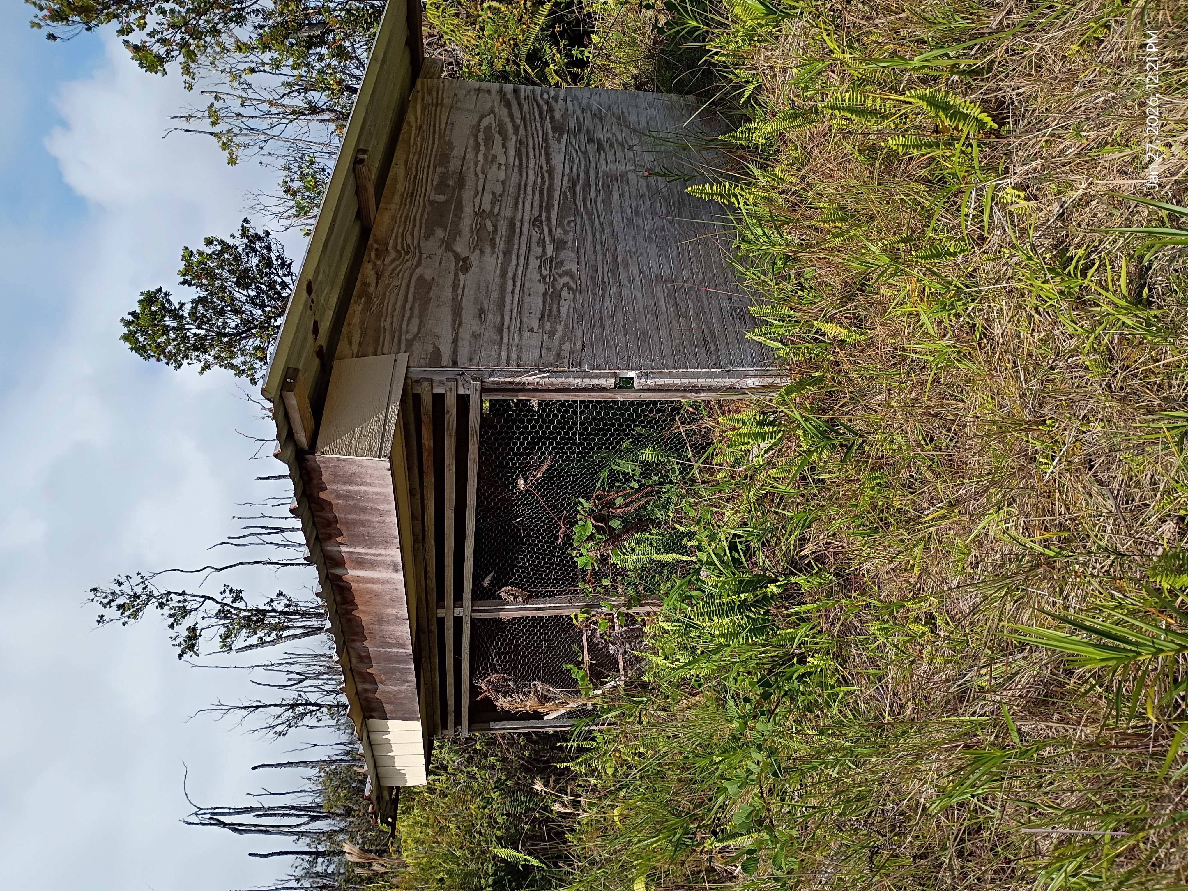 11-2311 Kaleponi Road Mountain View, HI 96771 - Photo 18 of 28 a view of a backyard of the house