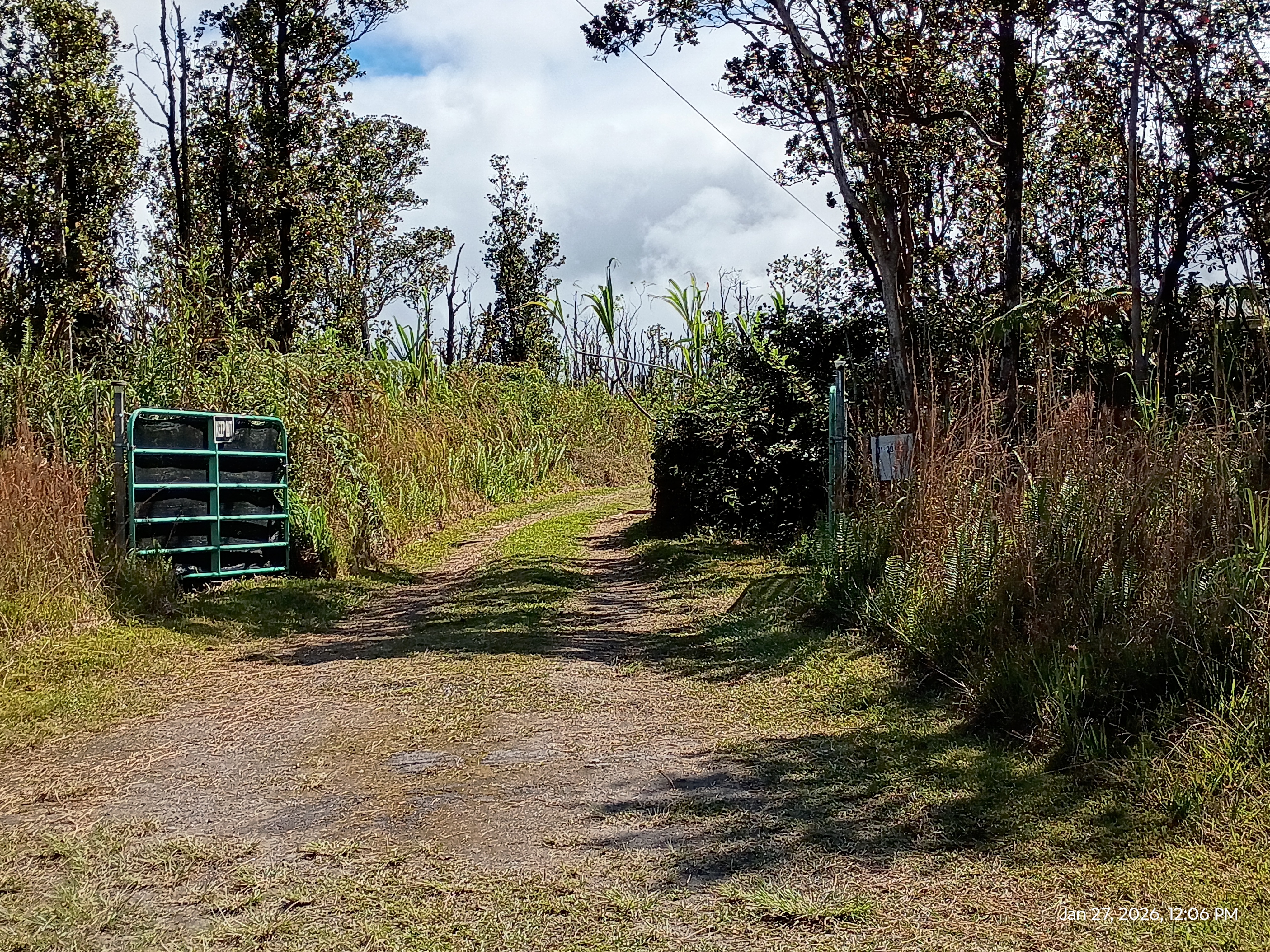 11-2311 Kaleponi Road Mountain View, HI 96771 - Photo 19 of 28 a view of a yard with plants and trees
