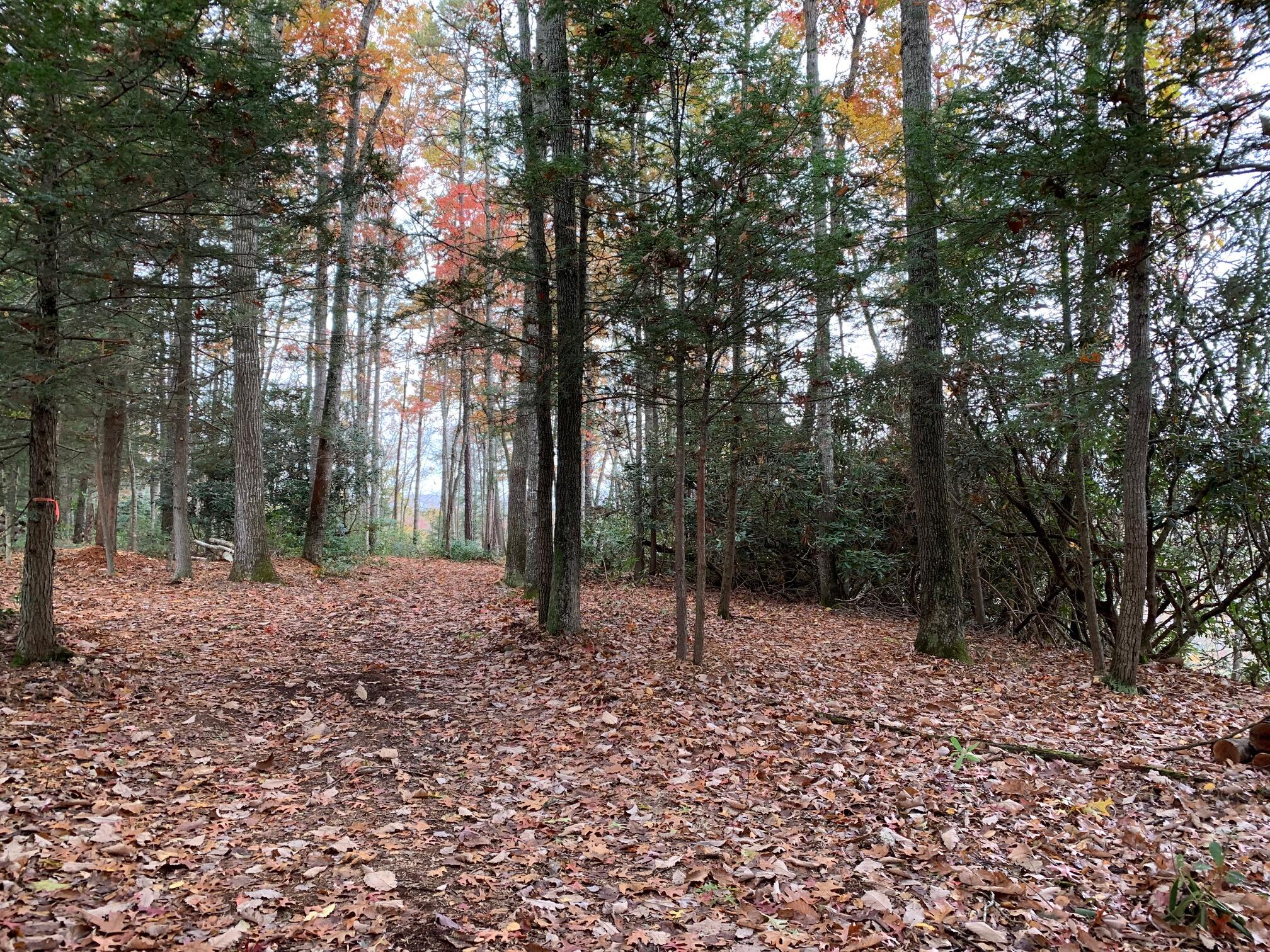 Lot 2 Coleman Cliff Road Frankford, WV 24938 - Photo 5 of 5 Gallery Image 5