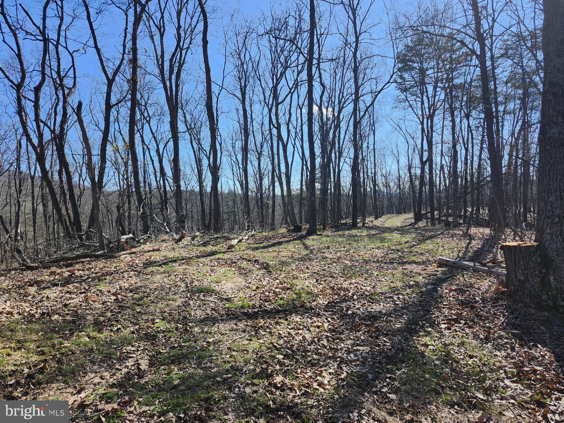 A J Kelley Road Old Fields, WV 26845 - Photo 46 of 65