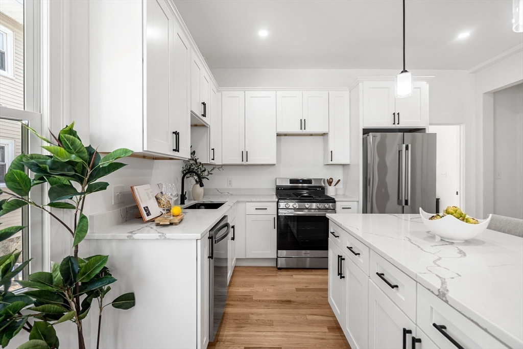 151 Townsend Street, Unit 1 Boston, MA 02121 - Photo 9 of 23 Gallery Image 9