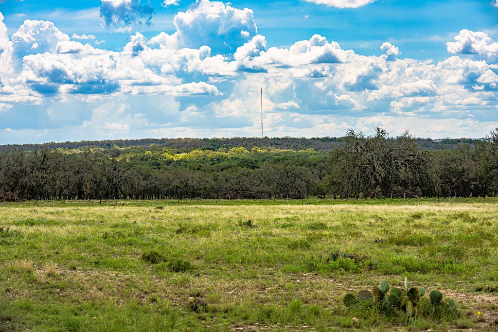 446 Mosel Road Harper, TX 78631 - Photo 8 of 26 Gallery Image 8