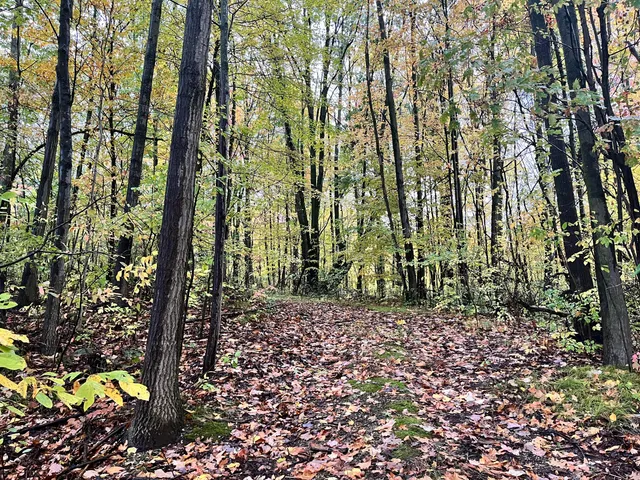 $30,000 | 6477 East 128th Street, Sand Lake, MI 49343