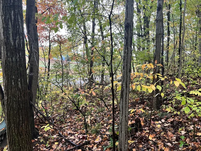 $30,000 | 6477 East 128th Street, Sand Lake, MI 49343