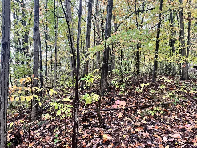 $30,000 | 6477 East 128th Street, Sand Lake, MI 49343