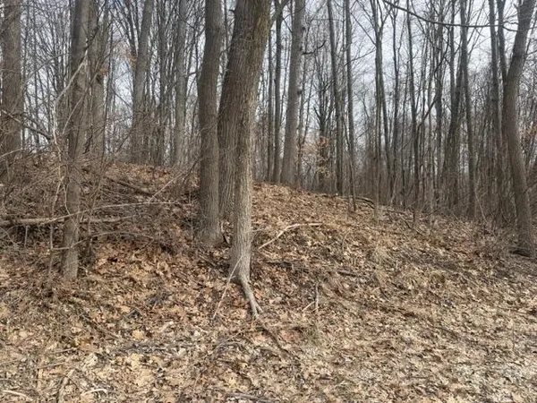 $30,000 | 6477 East 128th Street, Sand Lake, MI 49343