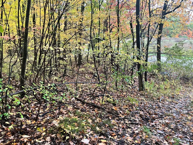 $30,000 | 6477 East 128th Street, Sand Lake, MI 49343