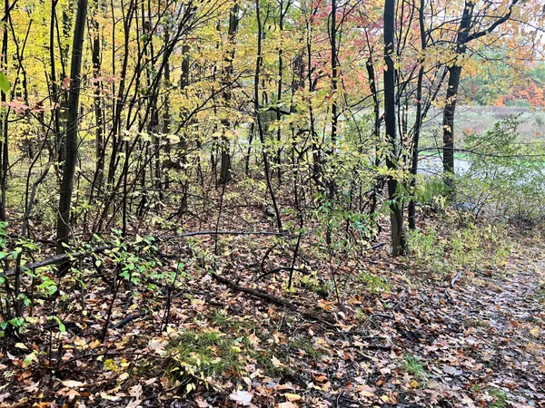 $30,000 | 6477 East 128th Street, Sand Lake, MI 49343