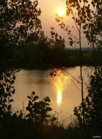 5596 Walnut Street Augusta, MO 63332 - Photo 38 of 40