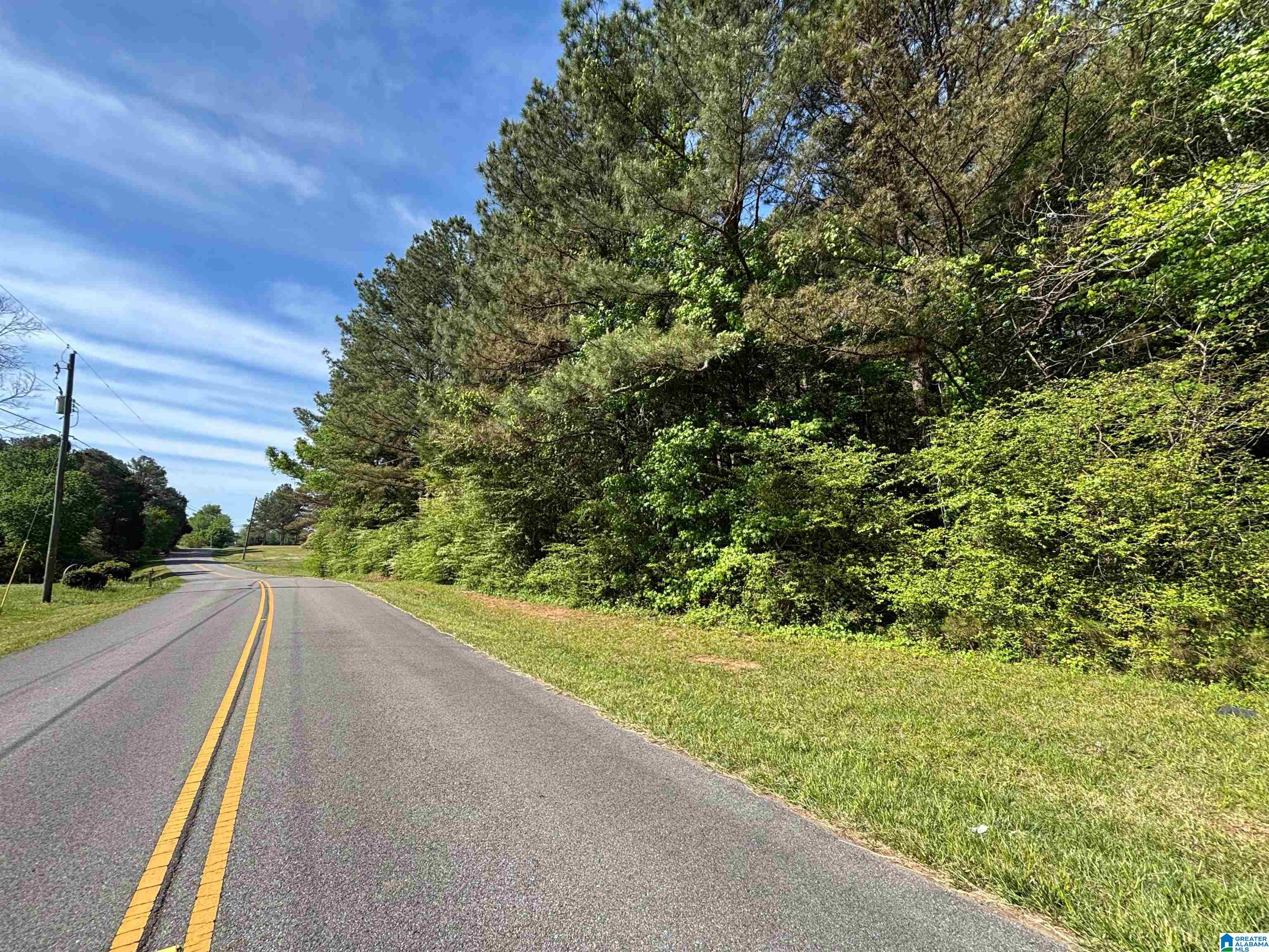 0 James Taylor Road, Unit 2 23 / ACRES Moody, AL 35004 - Photo 3 of 8
