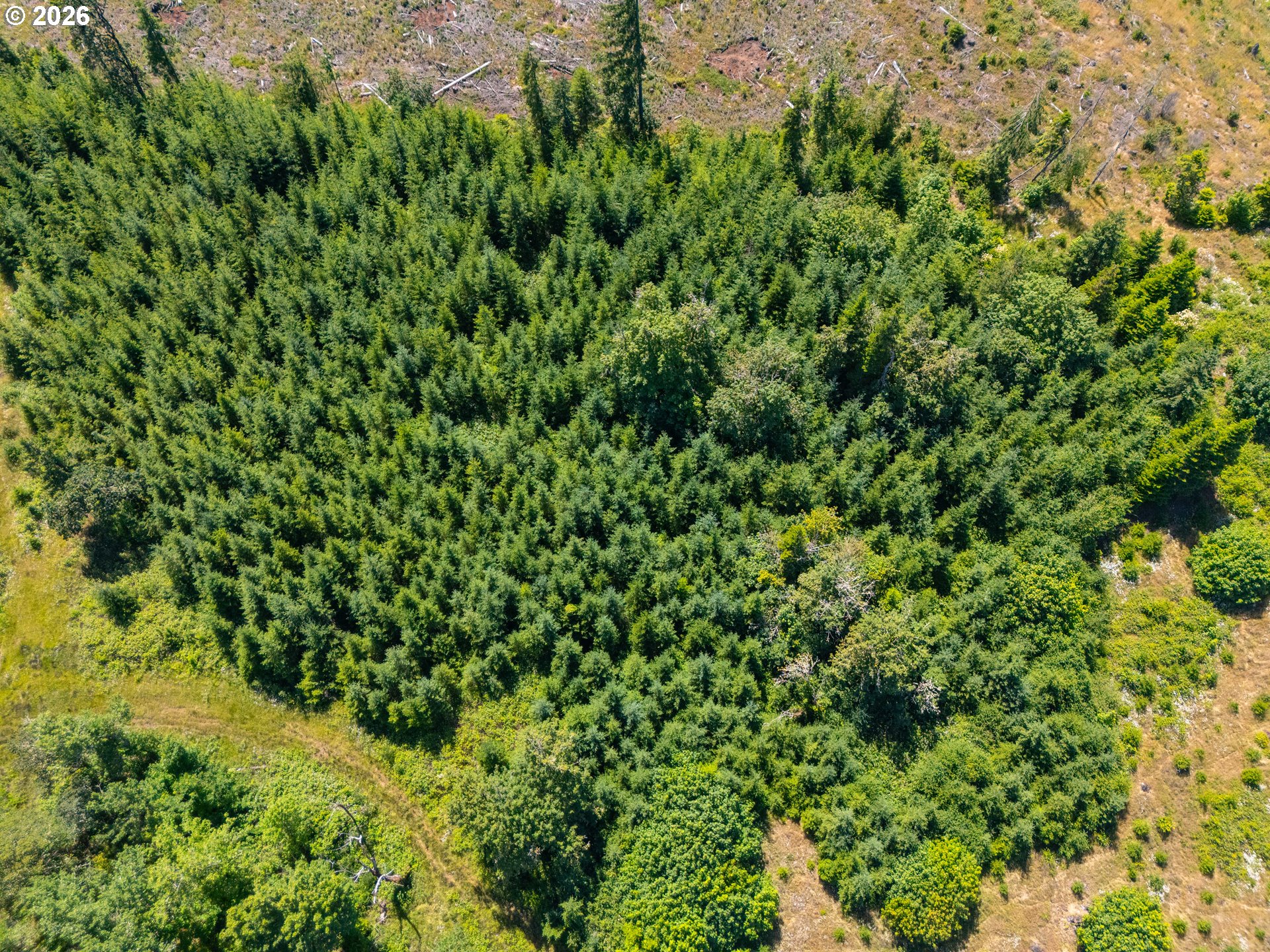 29852 Ingram Road Lebanon, OR 97355 - Photo 10 of 17