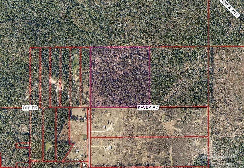 28519 Kavek Road Robertsdale, AL 36567 - Photo 3 of 3 Gallery Image 3