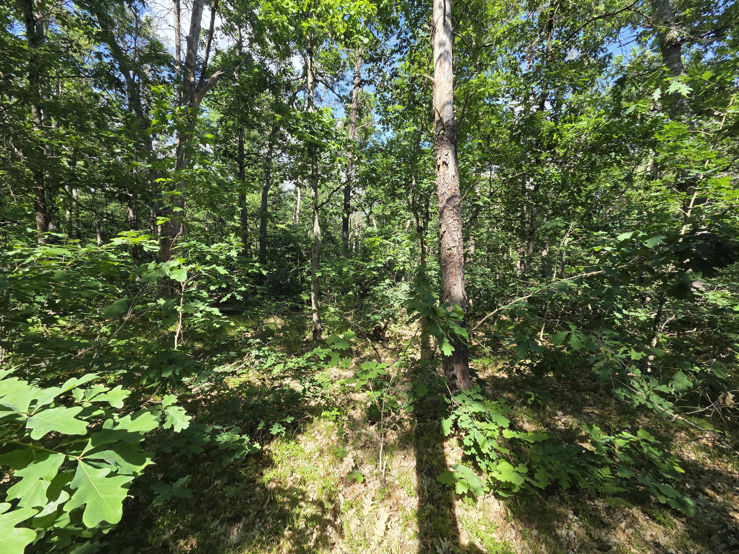 V/l South Astor Road Baldwin, MI 49304 - Photo 2 of 6 20260623_170959