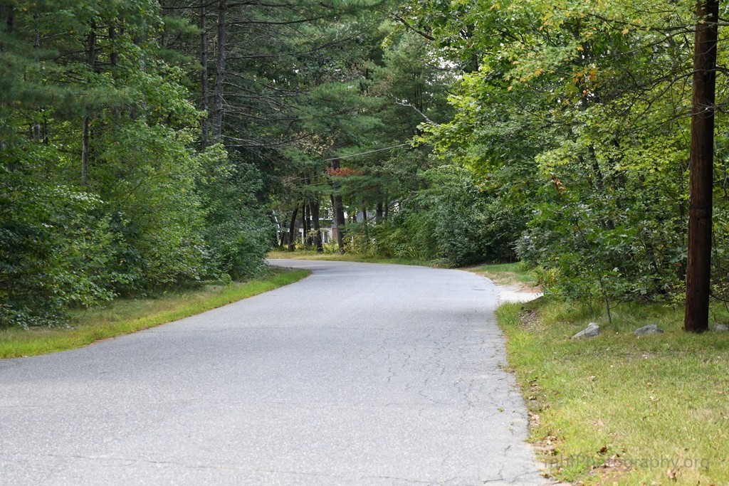64 Tanbark Road Sudbury, MA 01776 - Photo 4 of 20
