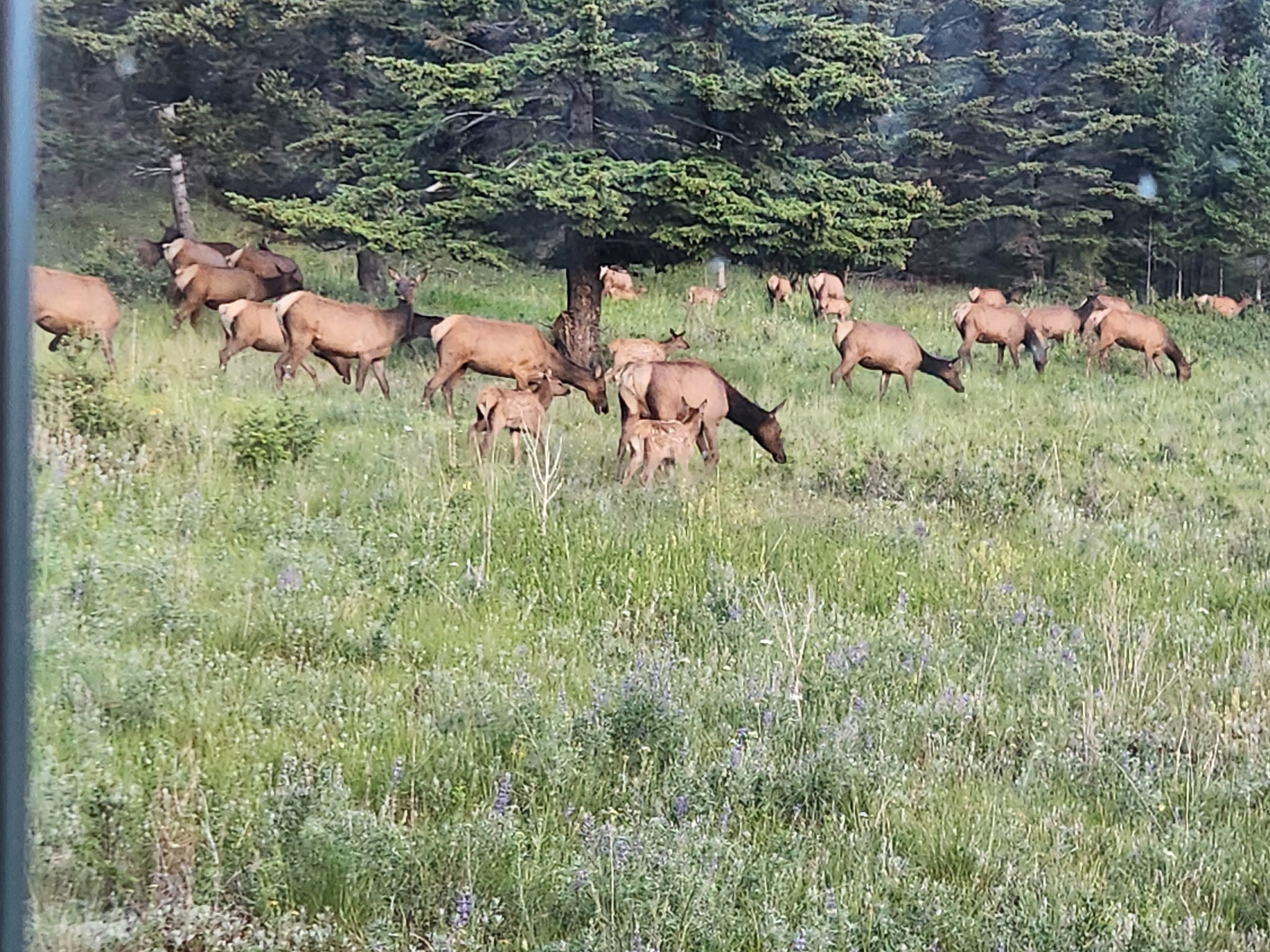 16 Mule Trail Road Clancy, MT 59634 - Photo 23 of 50 Gallery Image 23